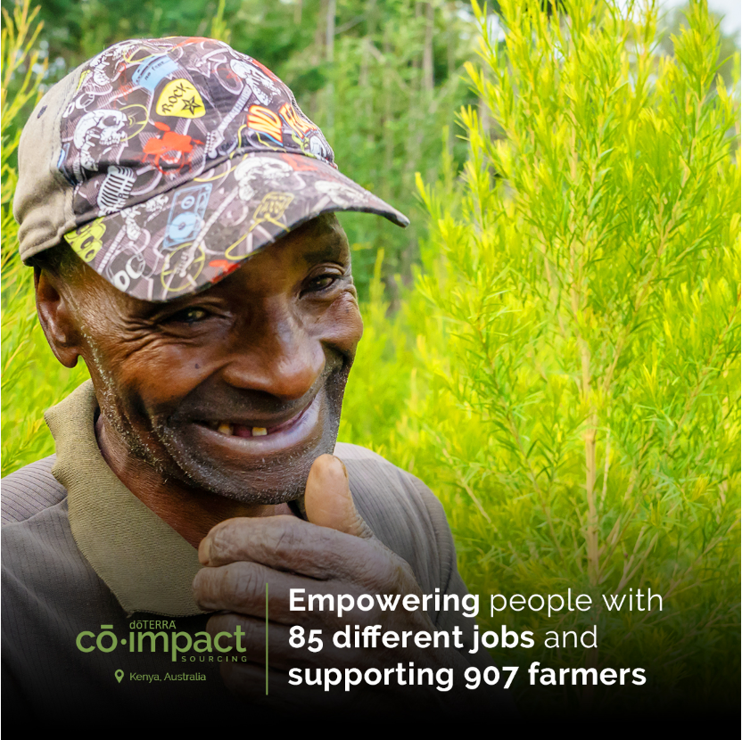 Tea Tree Essential Oil | 5ml-2