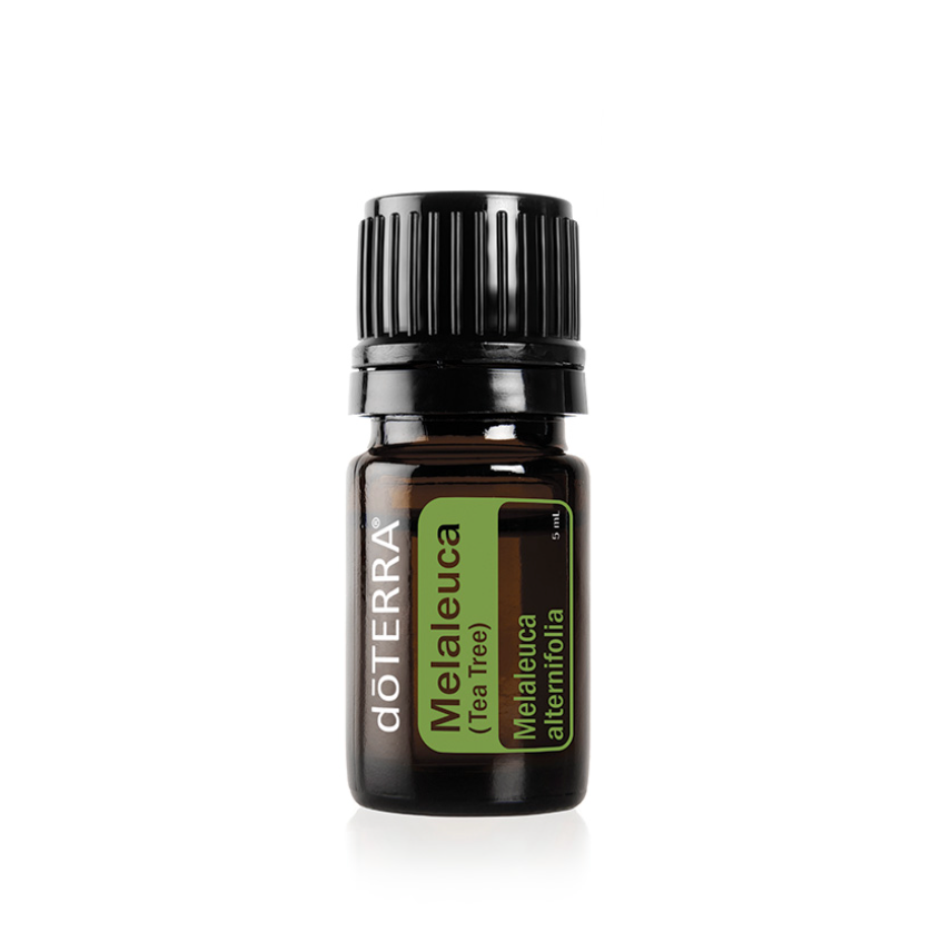 Tea Tree Essential Oil | 5ml-0